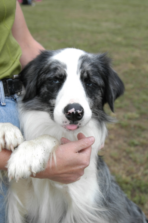 Ričín_chovám se_BCCCZ_06.jpg